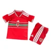 106 Wales WK Thuis Set 2026 Kids