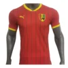 Guinea Thuisshirt 2024