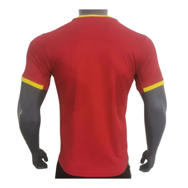Guinea Thuisshirt 2024