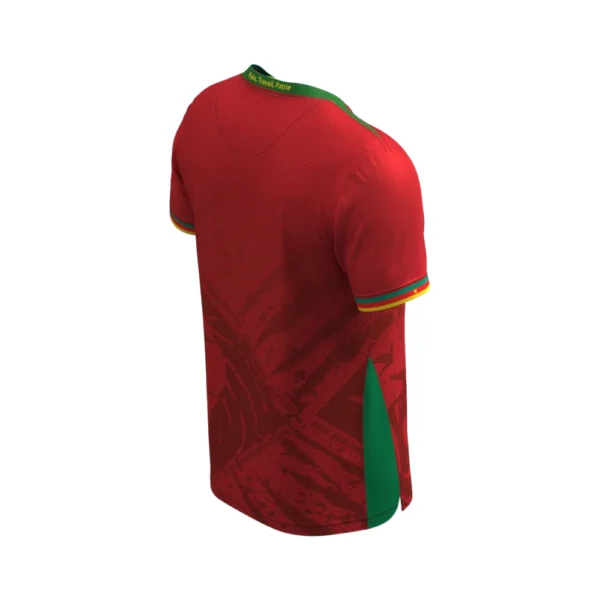 Kameroen Uitshirt 2025