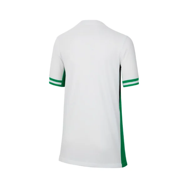 Nigeria Thuisshirt 2024/25