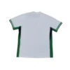 Nigeria Thuisshirt 2024/25